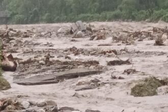 whatsapp image 2022 08 20 at 7.47.42 am 1 sixteen nine