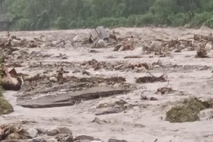 whatsapp image 2022 08 20 at 7.47.42 am 1 sixteen nine