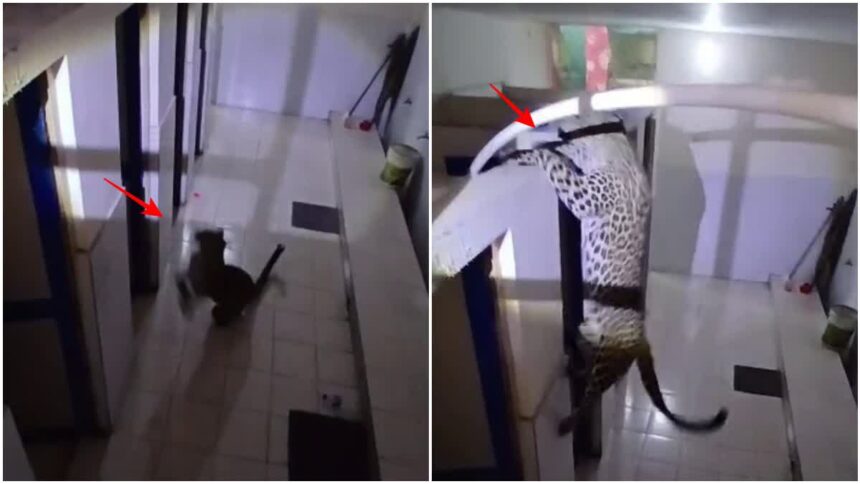 1200 675 24334740 thumbnail 16x9 pic pp