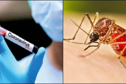 1205f831 38cd 41a5 a12b 4f0354d1de22