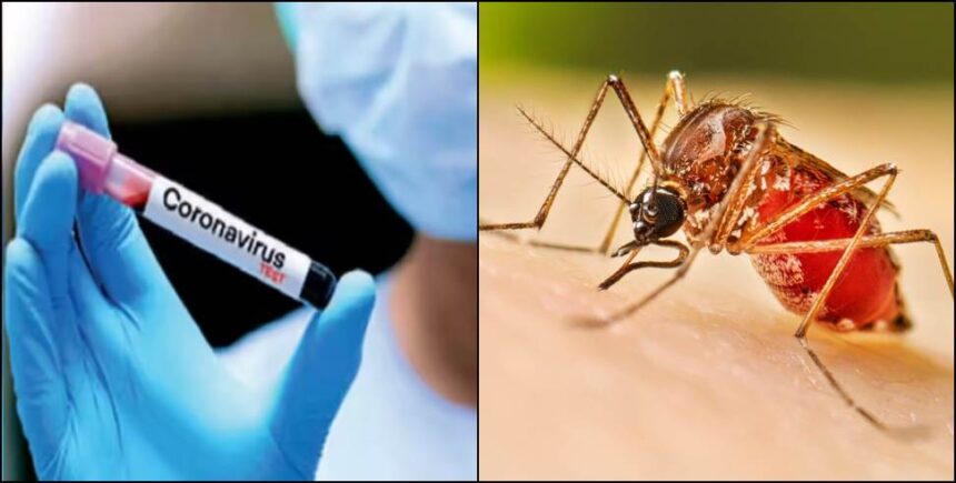 उत्तराखंड में कोरोना के तीन नए केस,अब तक 76 मामले रिपोर्ट || डेंगू का भी कहर जारी – कुल मरीजों की संख्या 133 पहुंची-Newsnetra 3 1205f831 38cd 41a5 a12b 4f0354d1de22