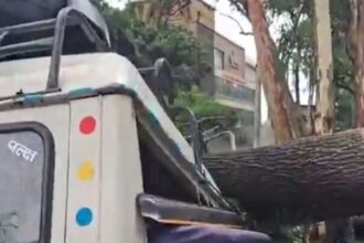 FB IMG 1748954650379