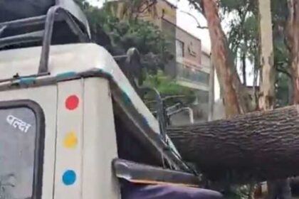 चकराता रोड पर FRI के सामने सवारी जीप के ऊपर गिरा पेड़, एक की मौत, हादसे में कई बाल-बाल बचे-Newsnetra 6 FB IMG 1748954650379