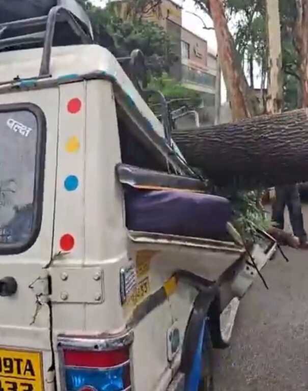चकराता रोड पर FRI के सामने सवारी जीप के ऊपर गिरा पेड़, एक की मौत, हादसे में कई बाल-बाल बचे-Newsnetra 3 FB IMG 1748954650379