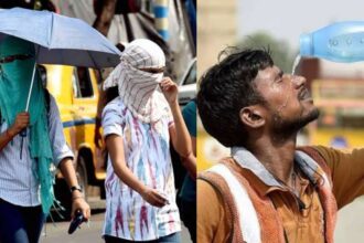 InShot 20240516 140337645