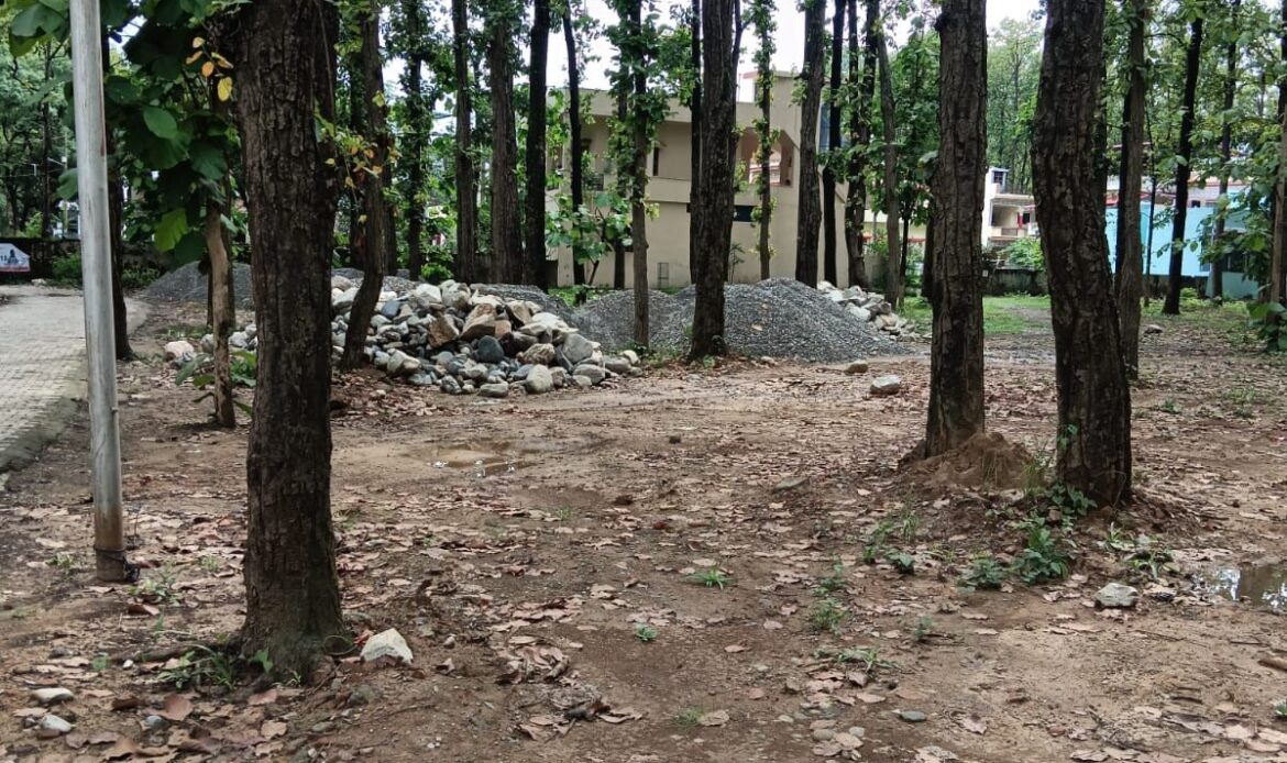 जंगल पर माफियाओं की नजर, पर्यावरण प्रेमी सुंदर सिंह रावत ‘आज़ाद’ नेता की पुकार – बचाओ बद्रीश का जंगल-Newsnetra 5 img 20250628 wa00018939860227838674109