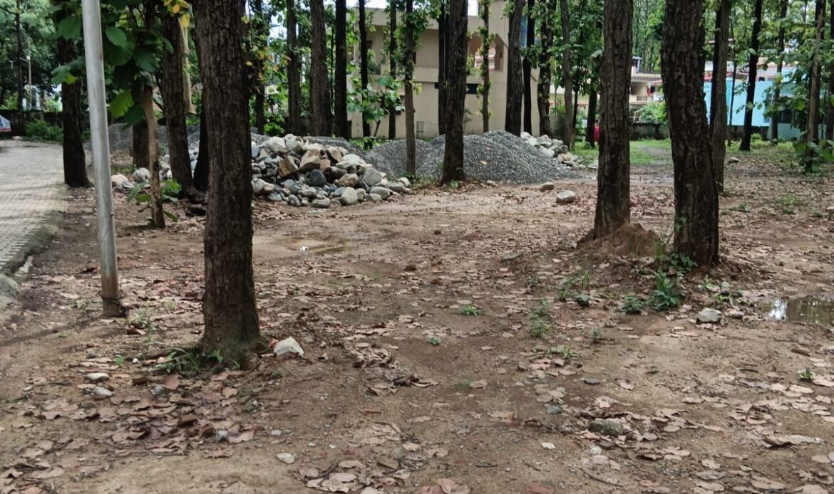 जंगल पर माफियाओं की नजर, पर्यावरण प्रेमी सुंदर सिंह रावत ‘आज़ाद’ नेता की पुकार – बचाओ बद्रीश का जंगल-Newsnetra 4 img 20250628 wa00025047140419448967597
