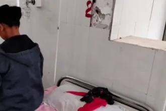 virat kohli rcb ricky ponting 24 2025 06 bba925f62b31a3086a7e82128a1414a7