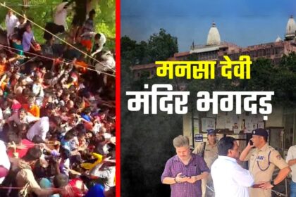 1200 675 24678205 thumbnail 16x9 pic np