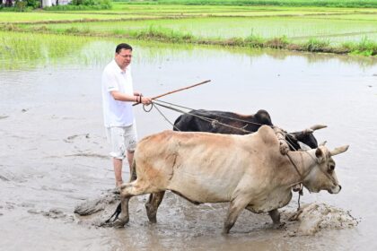 FB IMG 1751730251328