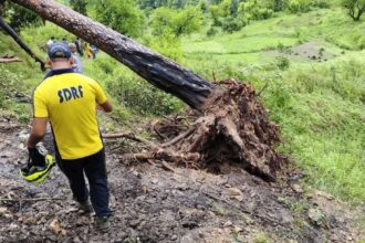 FB IMG 1752417945315