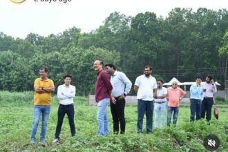 IMG 20250712 WA0045 1