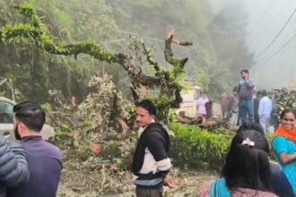 Screenshot 20250709 190844 WhatsApp