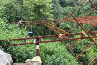 WhatsApp Image 2025 07 22 at 8.21.48 AM