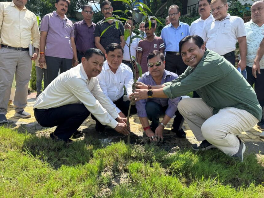 WhatsApp Image 2025 07 22 at 8.22.53 AM