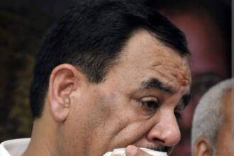 image editor output image 308545850 1752856610673