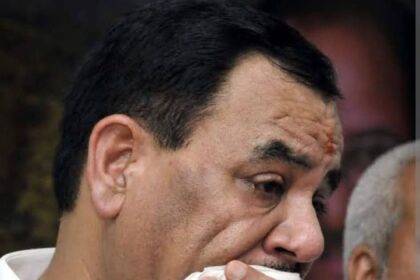 image editor output image 308545850 1752856610673