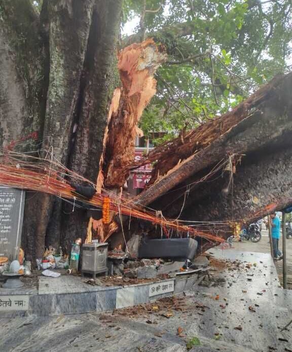 देहरादून: टपकेश्वर महादेव मंदिर परिसर में सैकड़ों साल पुराना पेड़ गिरा, दुकान और पुलिस चौकी को नुकसान, एक व्यक्ति घायल-Newsnetra 5 img 20250708 wa01388442846510021311263