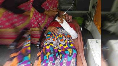 घास काट रही महिला पर जंगली सुअर का हमला, गंभीर हालत में श्रीनगर रेफर-Newsnetra 3 injured woman 7d079e3a4a1228bd53068750a3b248bb