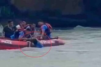 khalugdha ka bcata tama e400564273b1bd71e90965a640225b9e