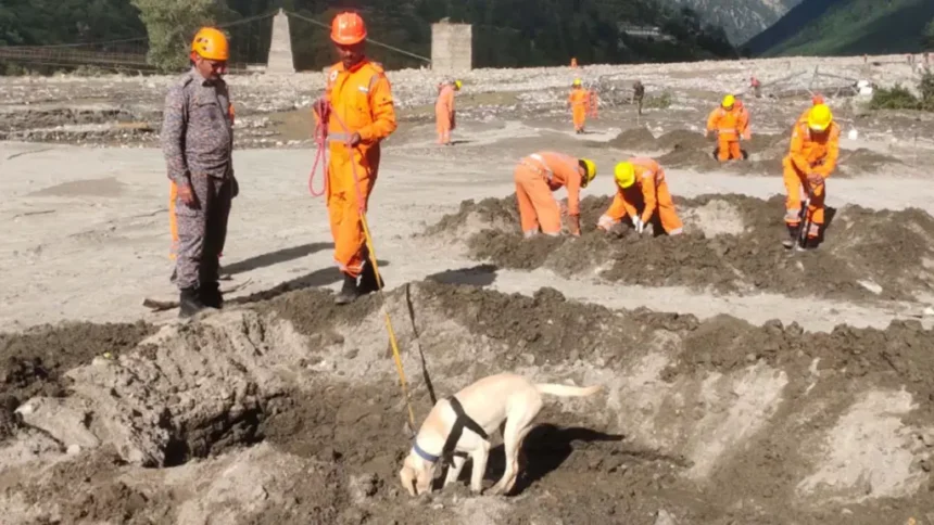 10 08 2025 uttarkashi 24009313