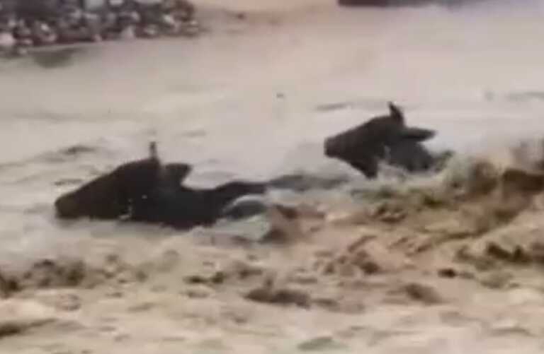 11ddc 78 11082025 523 768x501 2