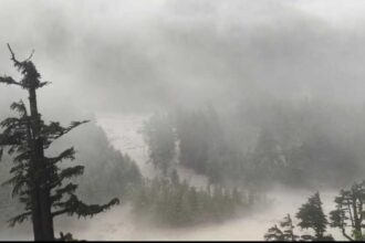 Screenshot 20250805 190907 Photos