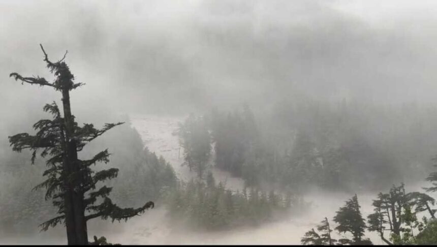 Screenshot 20250805 190907 Photos