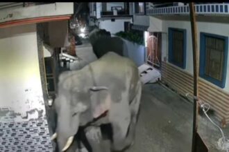 Screenshot 20250818 204138 WhatsApp