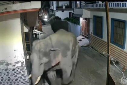 Screenshot 20250818 204138 WhatsApp