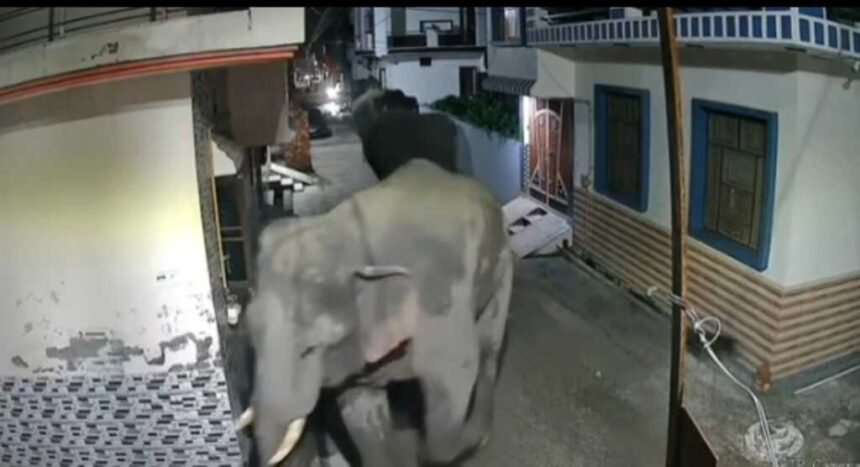 Screenshot 20250818 204138 WhatsApp