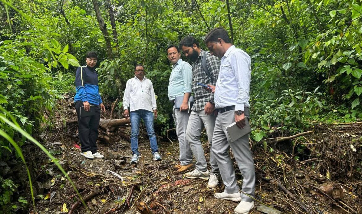 fb img 17553647729947729649038842676194