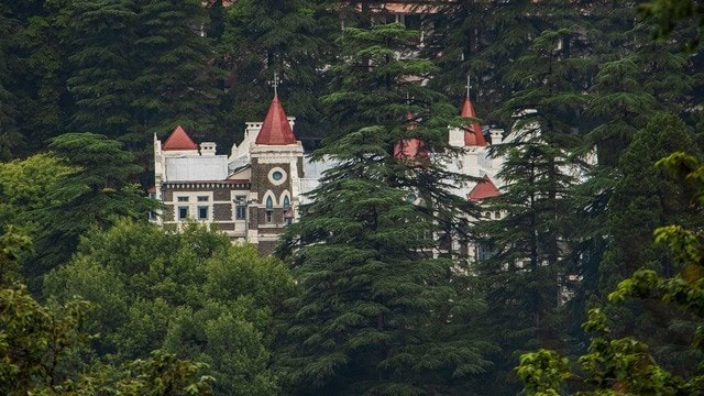 उत्तराखंड हाईकोर्ट का सख्त रुख: दो हफ्ते में बताओ, गन कल्चर कैसे रोकोगे?-Newsnetra 3 high court 1755568899877 1755568904386 1755907704978