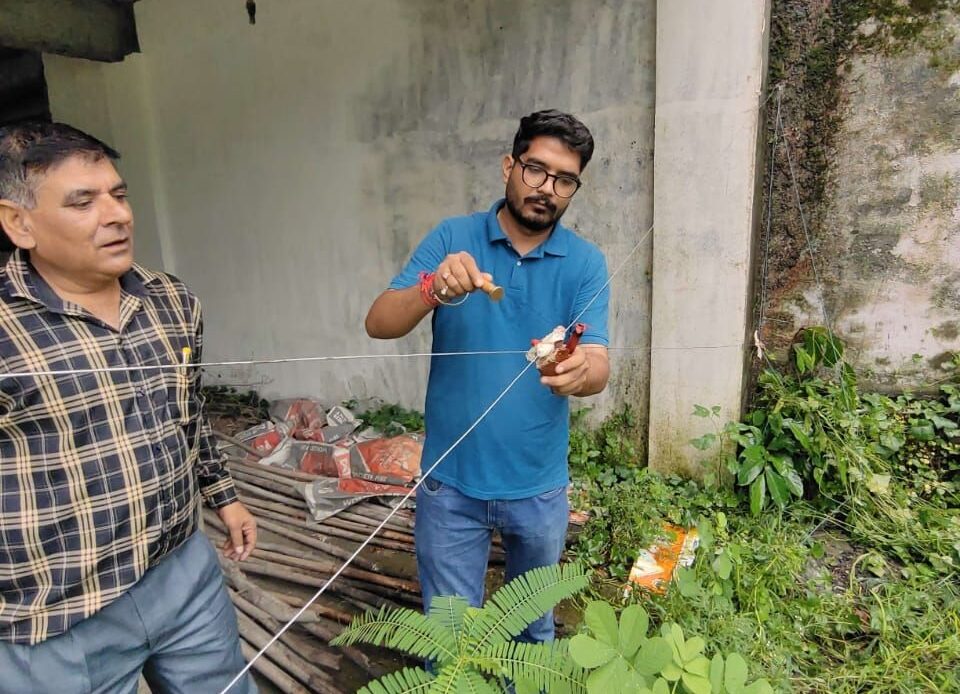 img 20250818 wa00068530075856679113366