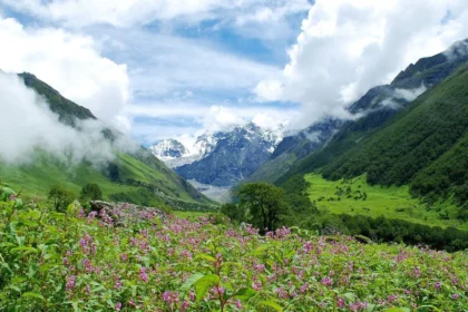 valley of flowers feature 1600x900 1