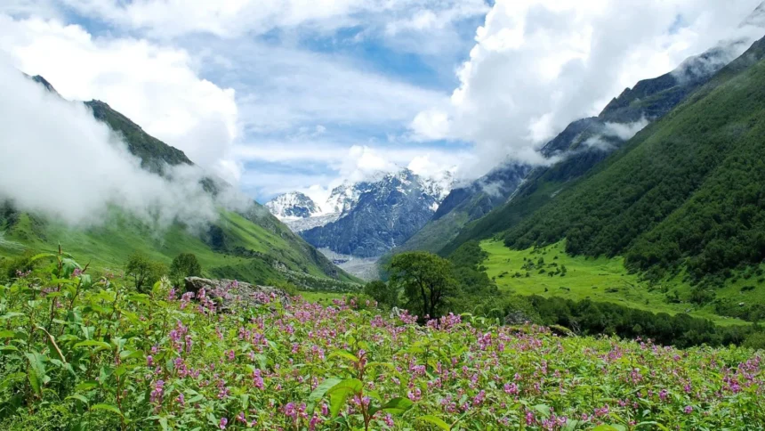 valley of flowers feature 1600x900 1