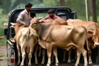 08 09 2025 uttarakhand news 24039370