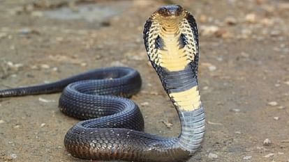 1 ab311faffb9ab5e80233df68f0dc3fe8