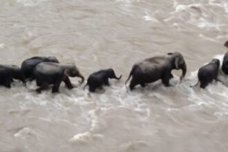 Screenshot 20250903 015819 Chrome