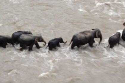 Screenshot 20250903 015819 Chrome