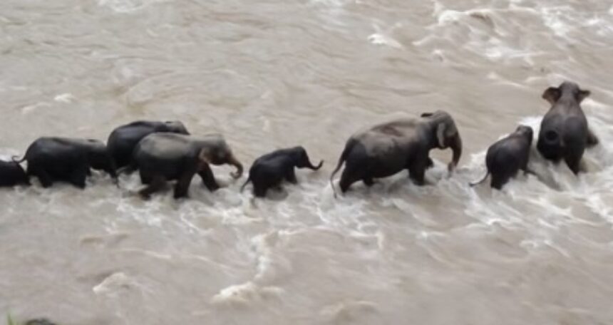 Screenshot 20250903 015819 Chrome