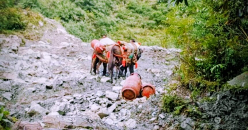 यमुनोत्री हाईवे पर बोल्डरों का कहर, खच्चरों से पहुंची 82 सिलिंडर और 143 पैकेट राशन-Newsnetra 3 Screenshot 20250913 022430 Chrome2 1