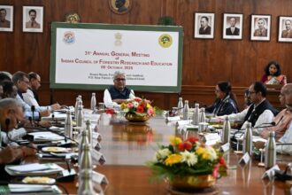 557747416 1112139437755753 2499875351655679370 n