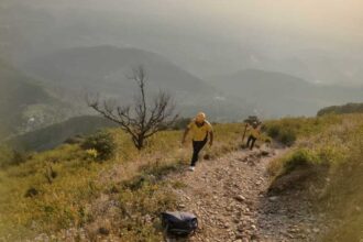 देहरादून: बदराज मंदिर ट्रेक पर लापता युवक की SDRF ने की तलाश, तीन किलोमीटर खड़ी चढ़ाई चढ़कर शव बरामद किया-Newsnetra 4 IMG 20251013 WA0098