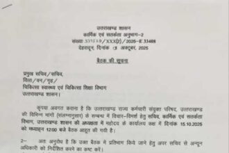 IMG 20251013 WA01161