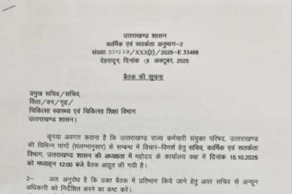 IMG 20251013 WA01161