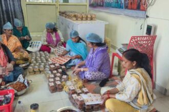 शीर्षक विकल्प: डोईवाला की महिलाएं ‘वोकल फॉर लोकल’ को दे रहीं नया आयाम, तैयार किए 600 से अधिक दीपावली गिफ्ट हैंपर-Newsnetra 6 IMG 20251018 WA0004