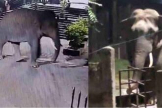 Screenshot 20251024 011220 Chrome