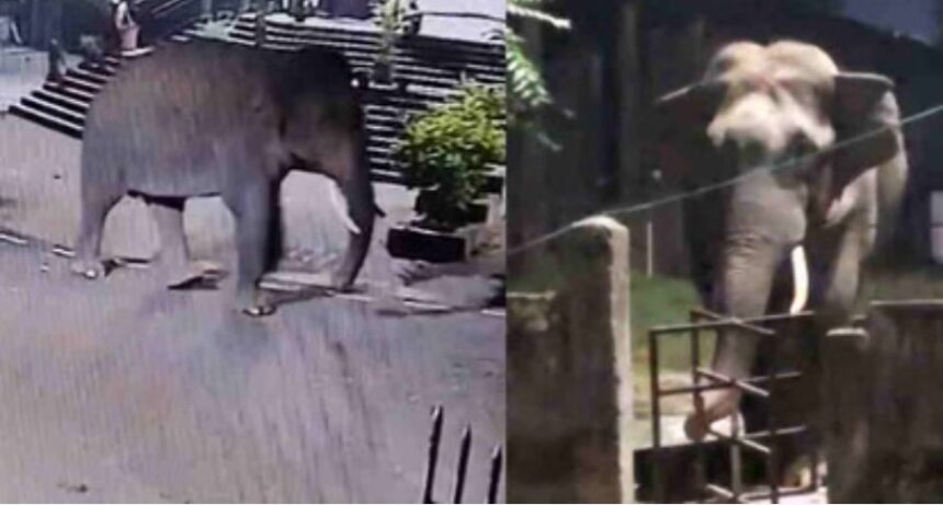 Screenshot 20251024 011220 Chrome