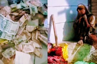 दिमागी रूप से कमजोर महिला के पास निकला खजाना — लोग गिनते-गिनते थक गए, पैसे खत्म नहीं हुए-Newsnetra 18 Screenshot 20251026 004630 Chrome2